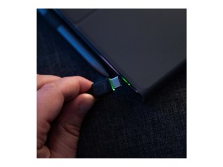Green Cell GC Ray - Kabel USB - USB-C (M) zielone podświetlenie LED do USB (M) - 1.2 m - czarny