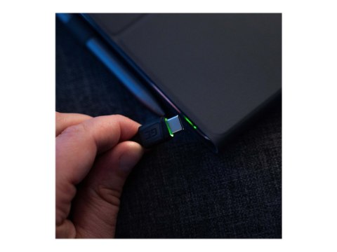 Green Cell GC Ray - Kabel USB - USB-C (M) zielone podświetlenie LED do USB (M) - 1.2 m - czarny