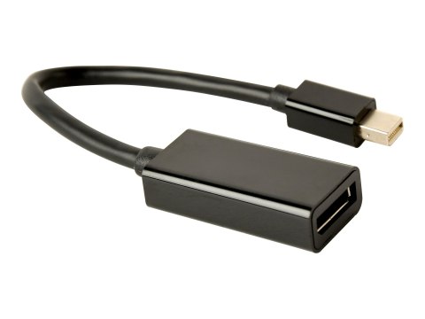 Cablexpert - Przejściówka DisplayPort - Mini DisplayPort (M) do DisplayPort 20-pin (F) - DisplayPort 1.2 - 15 cm - obsługa 4K - 
