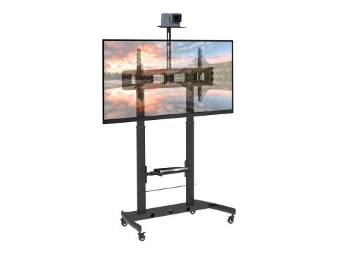 TECHly - Wózek - dla sprzęt TV/AV / kamera - czarny - rozmiar ekranu: 52"-110" - element podłogowy
