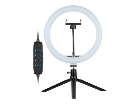 Tracer - Lampa pierścieniowa - 1 końcówki x 120 lampka - LED - 13.4 W - DC