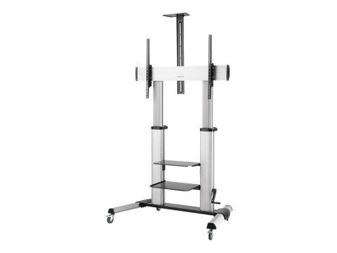 LogiLink - Wózek - dla LCD display / projector - plastik, aluminium, stal - szary, czarny - rozmiar ekranu: 60"-100"