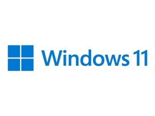 Windows 11 Pro - Licencja - 1 licencja - OEM - DVD - 64-bit - Polish