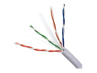 Qoltec - Zwój kabla - 305 m - UTP - CAT 6 - szary