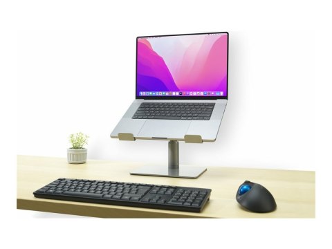 Kensington - Podstawka pod notebook - uniwersalny - biurko