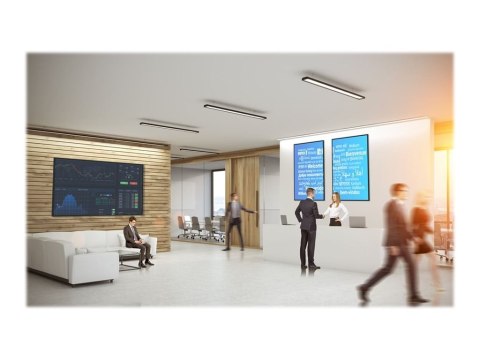 Optoma N3651K - 65" Klasa Przekątnej N-Series wyświetlacz LCD z podświetleniem LED - digital signage / konferencja - 4K UHD (216