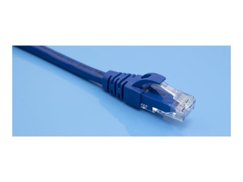 Qoltec - Kabel krosowy - RJ-45 (M) do RJ-45 (M) - 5 m - FTP - CAT 6 - bez wystających elementów - niebieski