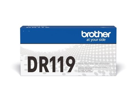 Brother DR119 - Oryginał - pudełko - Bęben