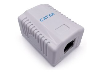 Cablexpert - Gniazdko informatyczne - CAT 6a - FTP - RJ-45 - biały