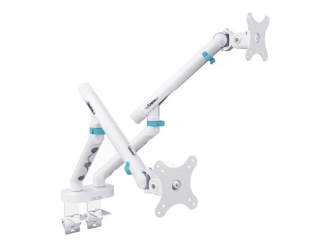 DIGITUS - Zestaw do montażu (uchwyt na dwa monitory) - dla 2 zakrzywione / płaskie panele - 2 x 10 kg - stal, aluminium, plastik
