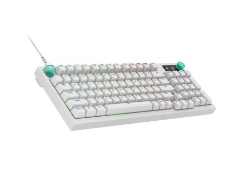 Logitech G G316 X 98 - Klawiatura - 98% - full size - podświetlenie - USB - QWERTY - Międzynarodowy Angielski - przełącznik: Tac