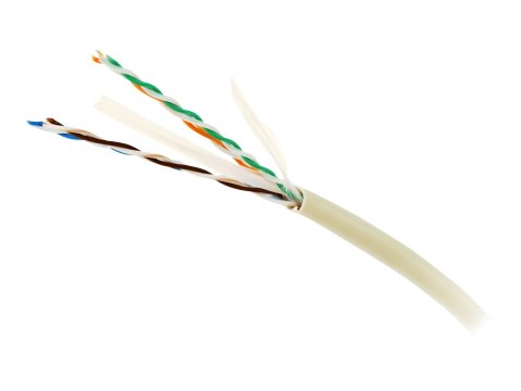 Cablexpert - Zwój kabla - 305 m - UTP - CAT 6 - nieruchomy - szary