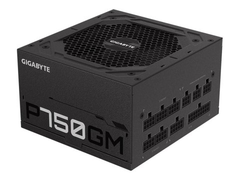 Gigabyte P750GM - Zasilacz (wewnętrzny) - ATX12V 2.31 - 80 PLUS Gold - AC 100-240 V - 750 wat - aktywna korekcja typu Power Fact