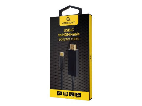 Cablexpert - Adapter wideo - HDMI męski do USB-C męski - 2 m - czarny