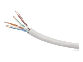 Cablexpert - Zwój kabla - 100 m - UTP - CAT 5e - nieruchomy - szary