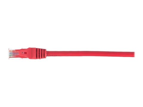 Netrack - Kabel krosowy - RJ-45 (M) do RJ-45 (M) - 25 cm - UTP - CAT 5e - ładowany, bez wystających elementów - czerwony