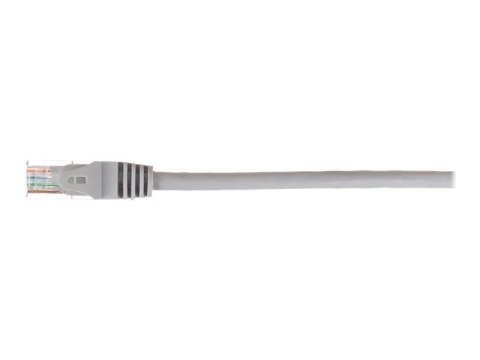 Netrack - Kabel krosowy - RJ-45 (M) do RJ-45 (M) - 3 m - UTP - CAT 5e - odlewany, bez wystających elementów - szary